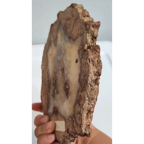 Hand Painted Agate Slab Art Of English Springer Spaniel Portrait 8x7" Signed - Picture 11 of 11